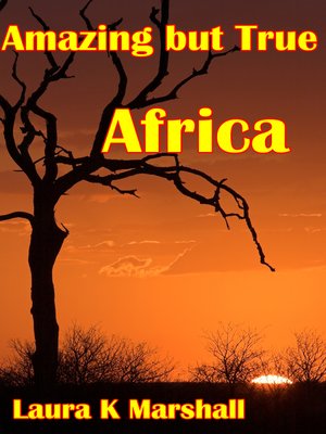 cover image of Africa Adventure Book 1